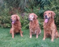 Genna Mit Soehne Onry Und Lennox 1